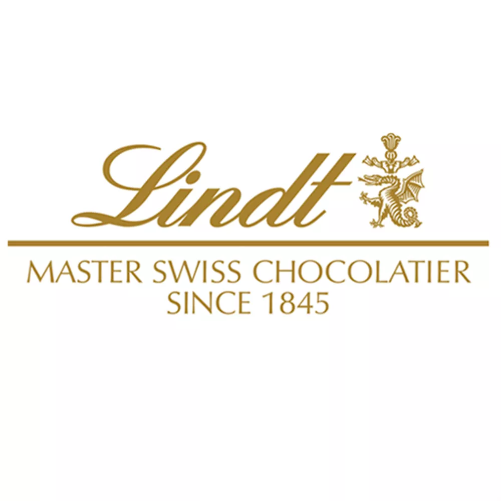 Lindt EXCELLENCE Dark 70% Bar 100g